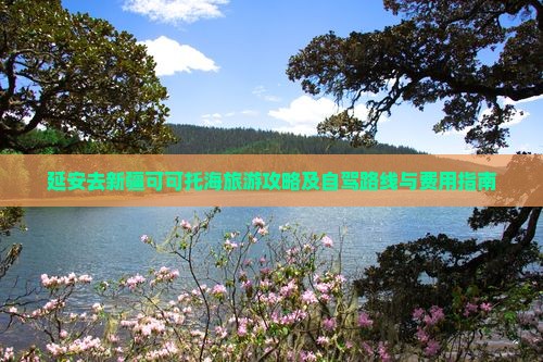 延安去新疆可可托海旅游攻略及自驾路线与费用指南
