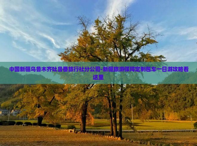 中国新疆乌鲁木齐吐鲁番旅行社分公司-新疆旅游保障定制包车一日游攻略看这里 中国新疆乌鲁木齐吐鲁番旅行社分公司-新疆旅游保障定制包车一日游攻略看这里