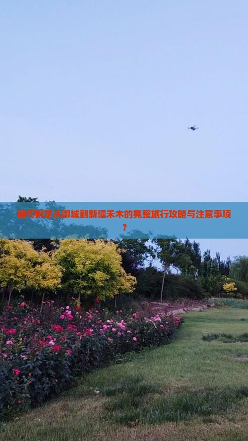 如何制定从聊城到新疆禾木的完整旅行攻略与注意事项？