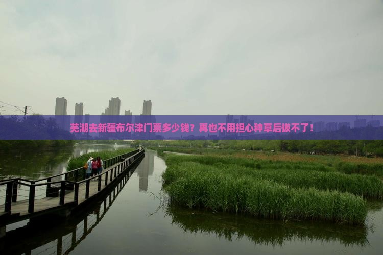 芜湖去新疆布尔津门票多少钱？再也不用担心种草后拔不了！