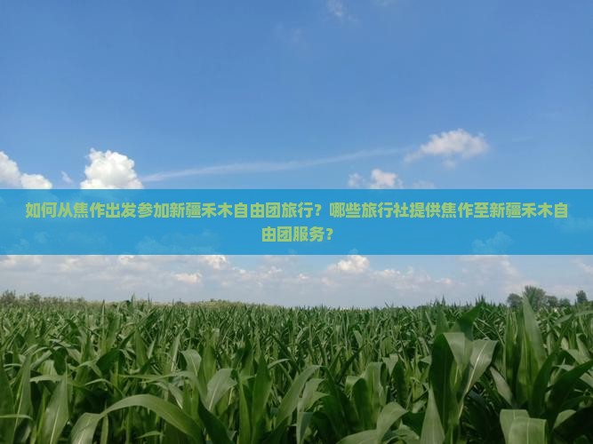 如何从焦作出发参加新疆禾木自由团旅行？哪些旅行社提供焦作至新疆禾木自由团服务？