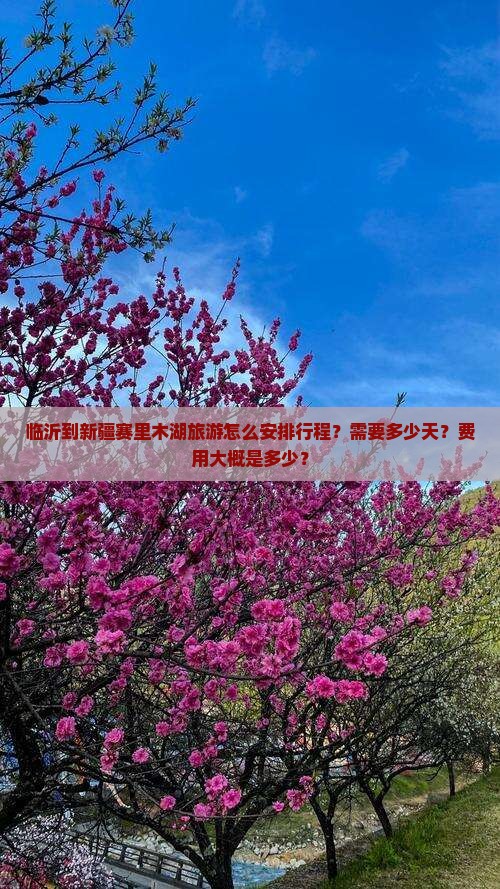 临沂到新疆赛里木湖旅游怎么安排行程？需要多少天？费用大概是多少？