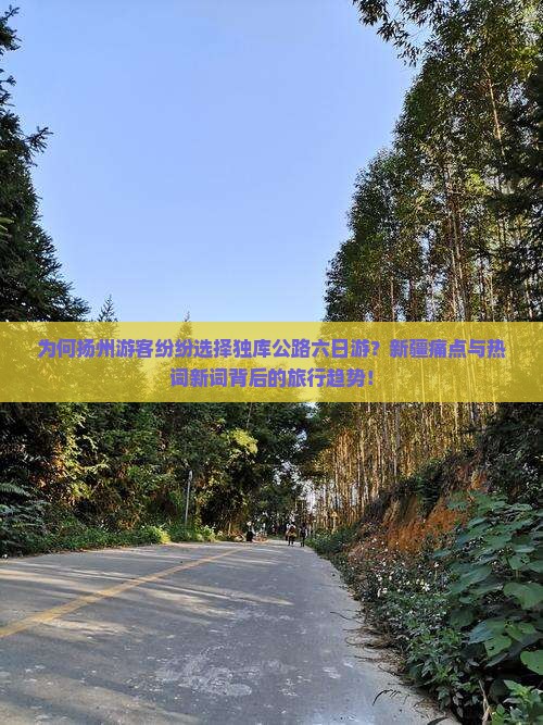 为何扬州游客纷纷选择独库公路六日游？新疆痛点与热词新词背后的旅行趋势！