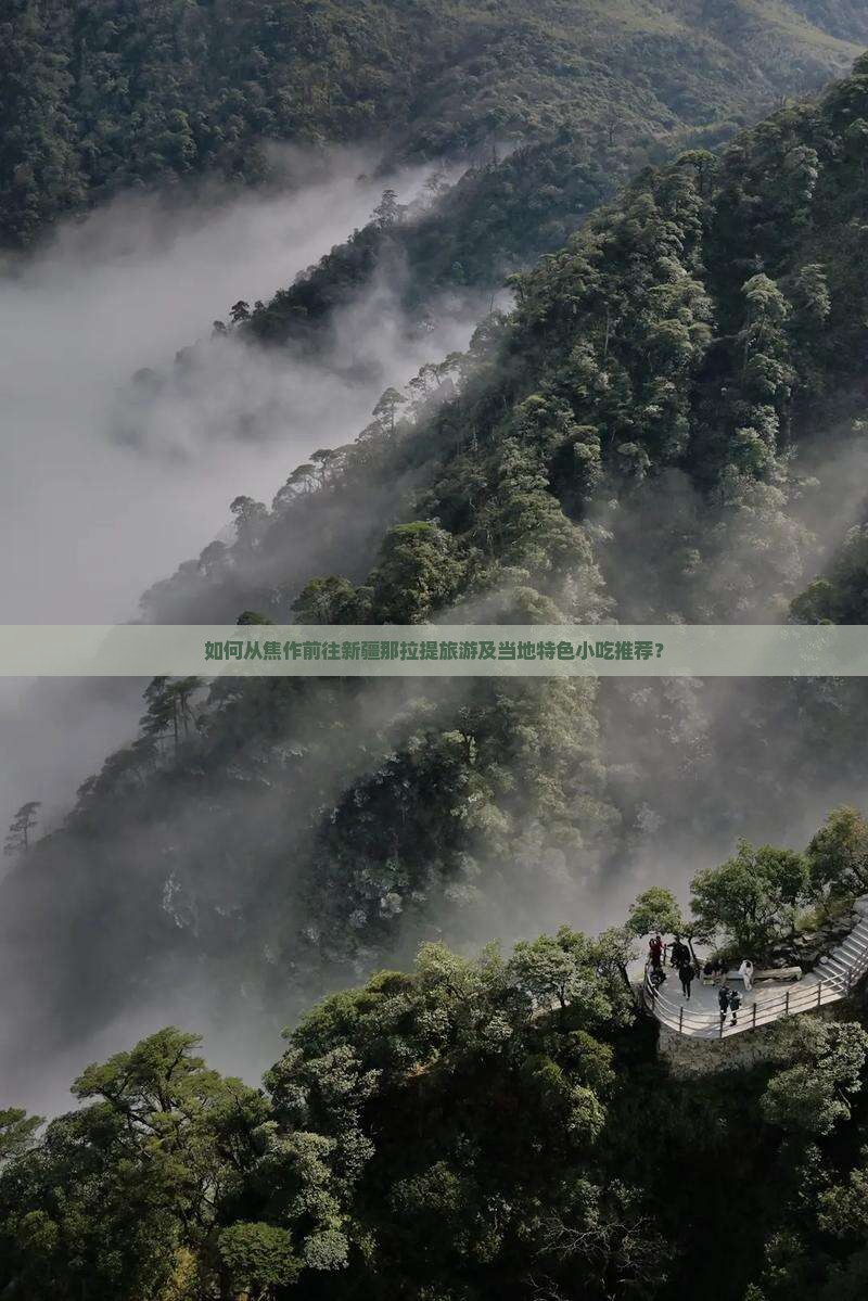 如何从焦作前往新疆那拉提旅游及当地特色小吃推荐？