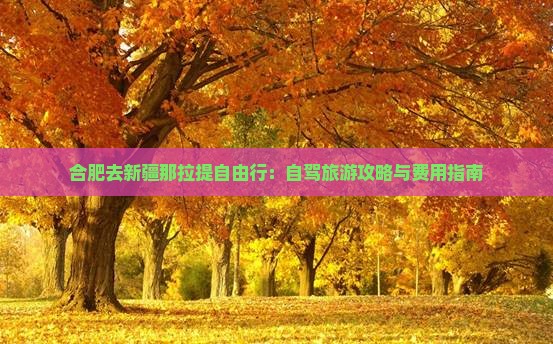 合肥去新疆那拉提自由行：自驾旅游攻略与费用指南