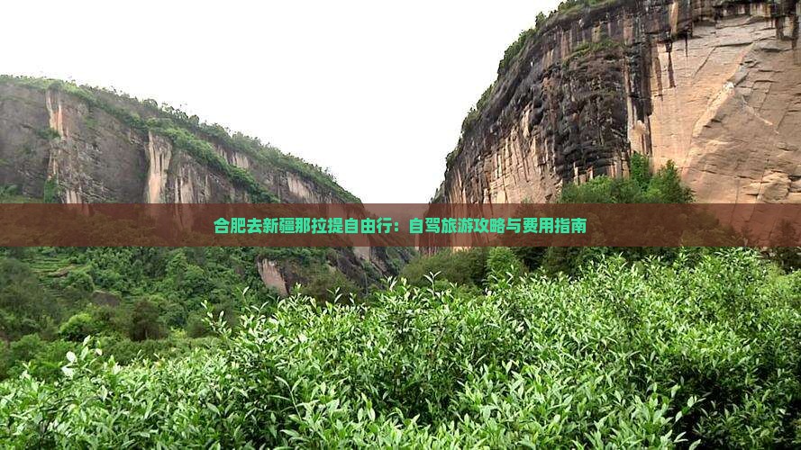 合肥去新疆那拉提自由行：自驾旅游攻略与费用指南