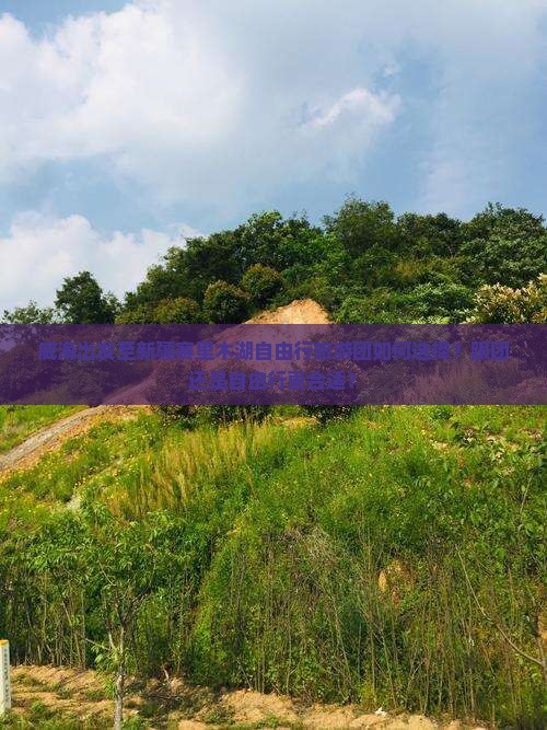 威海出发至新疆赛里木湖自由行旅游团如何选择？跟团还是自由行更合适？