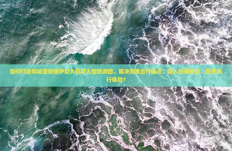 如何打造桐城至新疆伊犁大草原大型旅游团，解决游客出行痛点，融入热词新词，提升旅行体验？
