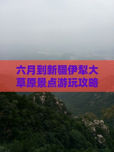 六月到新疆伊犁大草原景点游玩攻略