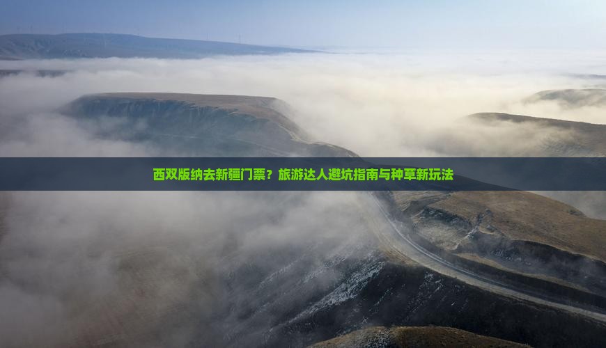 西双版纳去新疆门票？旅游达人避坑指南与种草新玩法