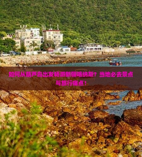如何从葫芦岛出发畅游新疆喀纳斯？当地必去景点与旅行痛点！