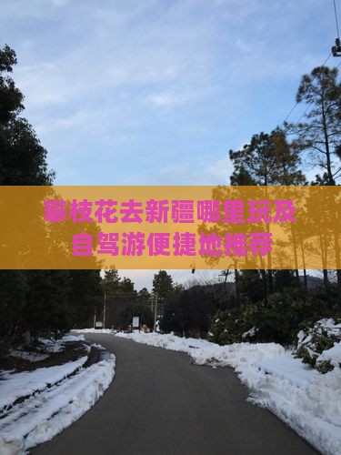 攀枝花去新疆哪里玩及自驾游便捷地推荐