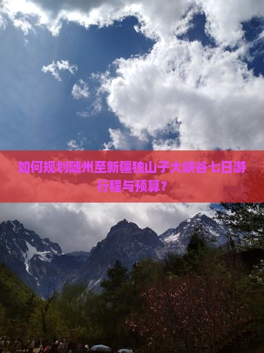 如何规划随州至新疆独山子大峡谷七日游行程与预算？