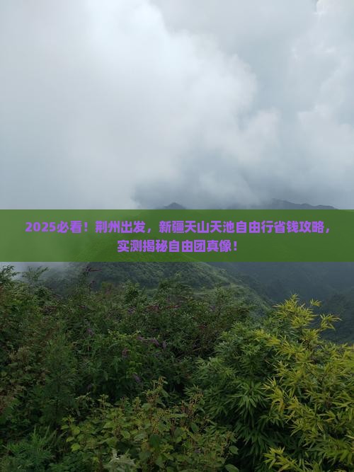荆州去新疆天山天池自由团