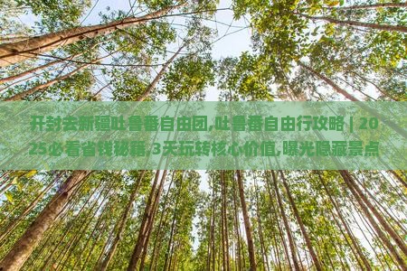 开封去新疆吐鲁番自由团
