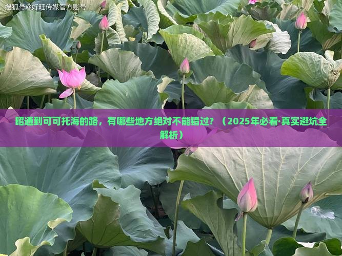 昭通到新疆可可托海必去地