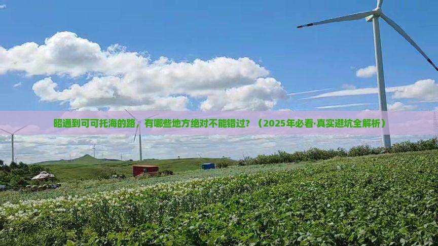 昭通到新疆可可托海必去地