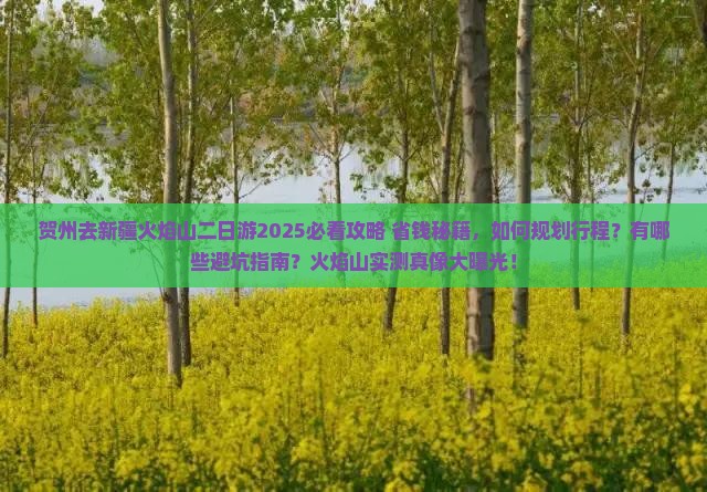 贺州去新疆火焰山二日游