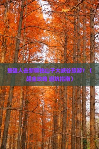 楚雄去新疆独山子大峡谷旅游 楚雄去新疆独山子大峡谷旅游