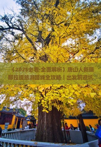 唐山去新疆那拉提攻略