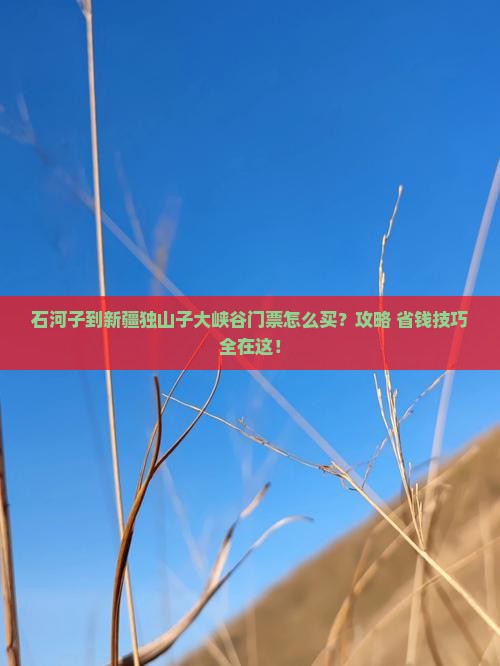 石河子到新疆独山子大峡谷门票
