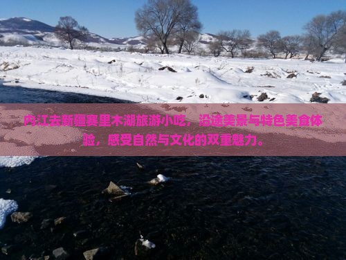 内江去新疆赛里木湖旅游小吃