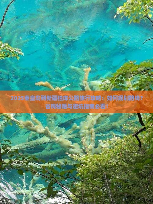 秦皇岛到新疆独库公路旅行社