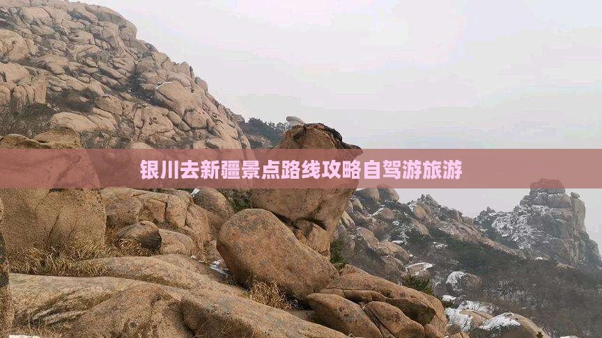 银川去新疆景点