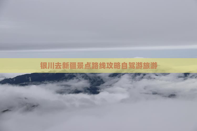 银川去新疆景点