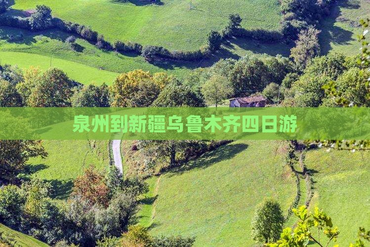 泉州到新疆乌鲁木齐四日游