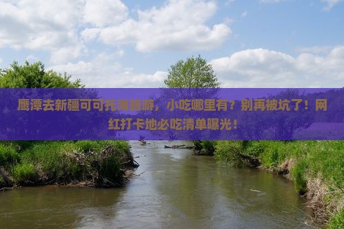 鹰潭去新疆可可托海旅游小吃