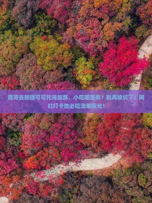鹰潭去新疆可可托海旅游小吃