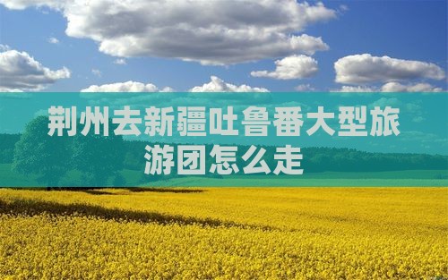 荆州去新疆吐鲁番大型旅游团