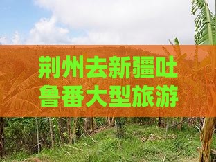 荆州去新疆吐鲁番大型旅游团