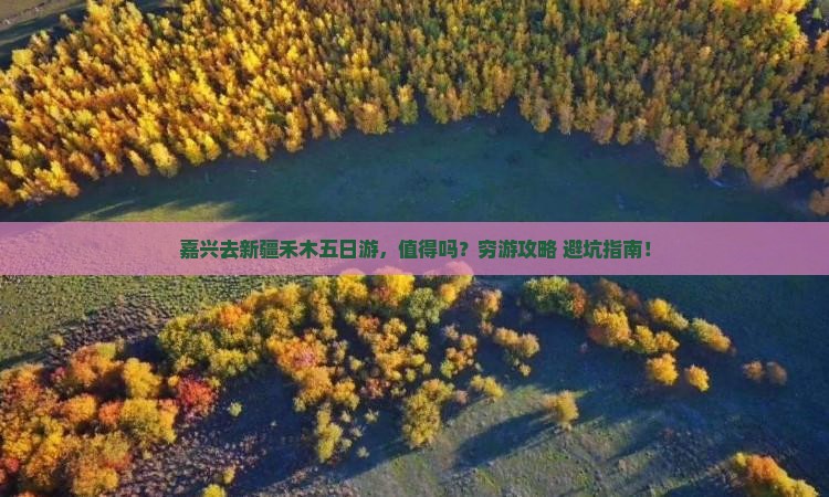 嘉兴去新疆禾木五日游