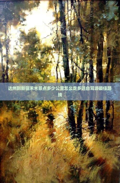 达州到新疆禾木景点