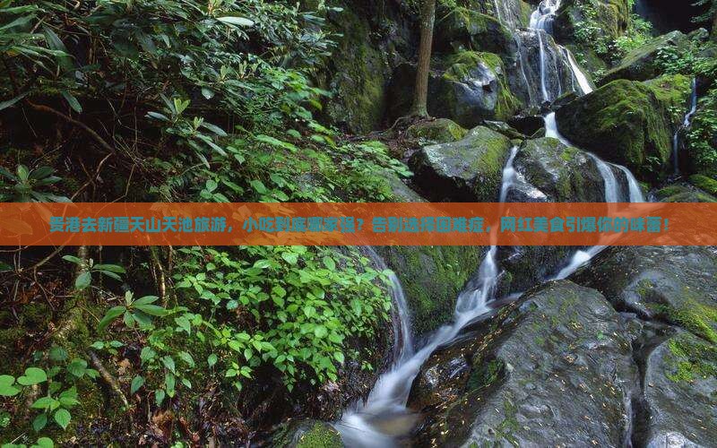 贵港去新疆天山天池旅游小吃