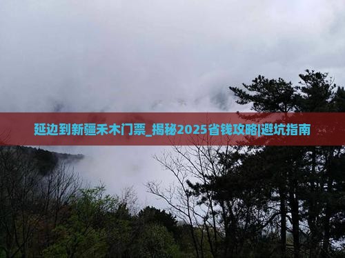 延边到新疆禾木门票 延边到新疆禾木门票