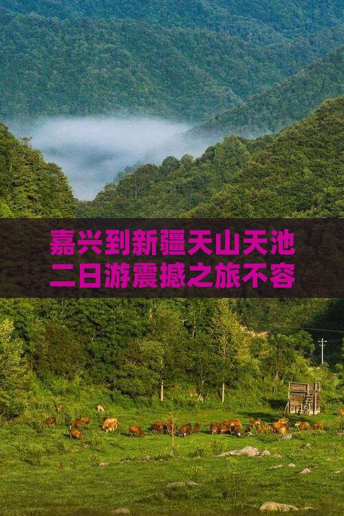 嘉兴到新疆天山天池二日游