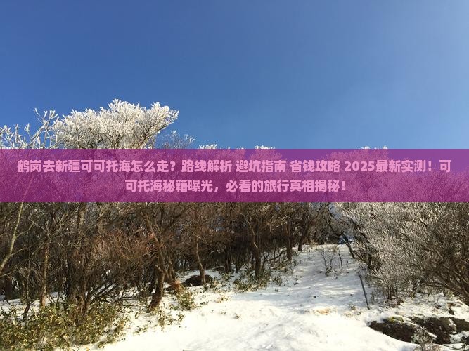 鹤岗去新疆可可托海攻略