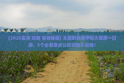 太原到新疆伊犁大草原一日