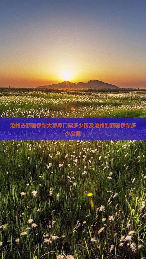 沧州去新疆伊犁大草原门票