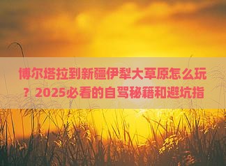 博尔塔拉到新疆伊犁大草原旅游