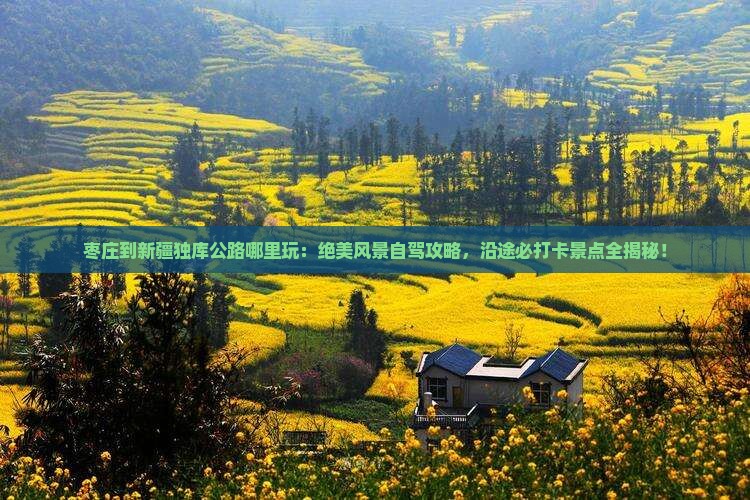 枣庄到新疆独库公路哪里玩