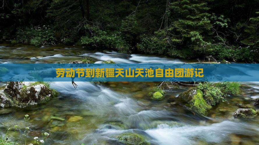 劳动节到新疆天山天池自由团