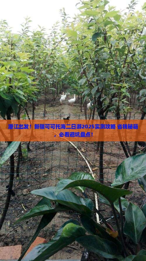 潜江到新疆可可托海二日游
