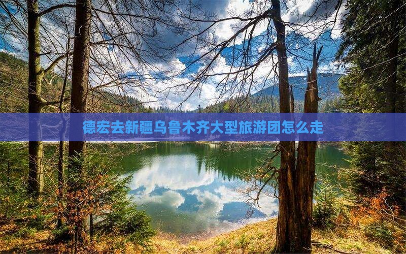 德宏去新疆乌鲁木齐大型旅游团