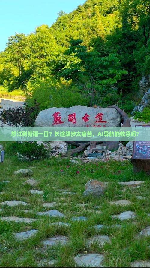 怒江到新疆一日