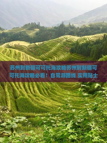 苏州到新疆可可托海攻略