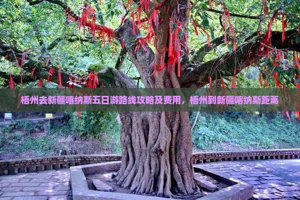 梧州去新疆喀纳斯五日游